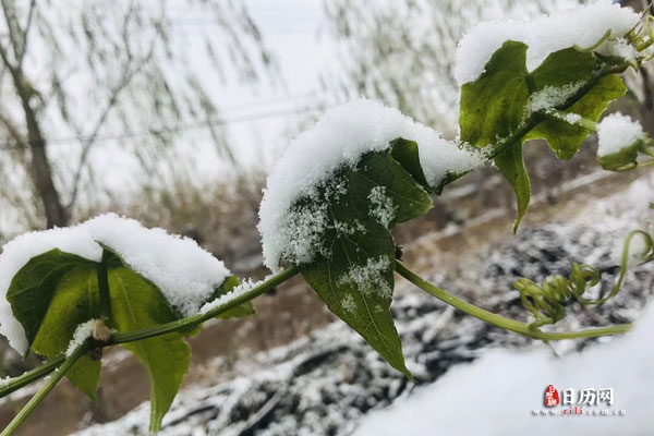 大雪是几月几日(图2)