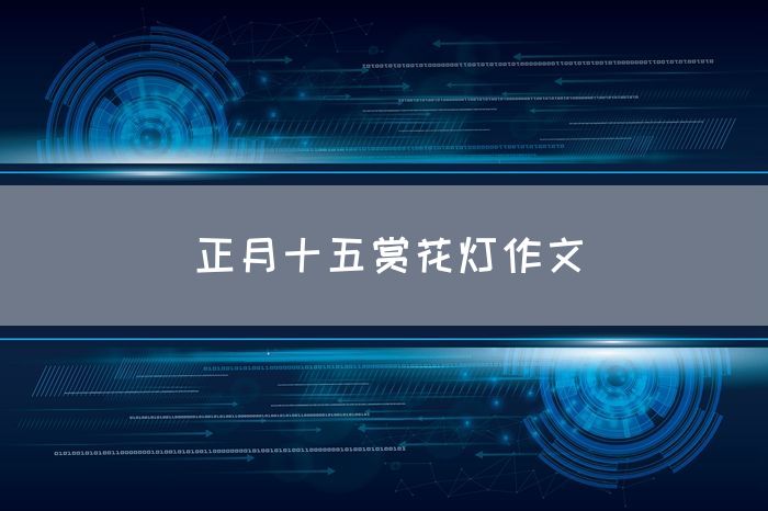 正月十五赏花灯作文