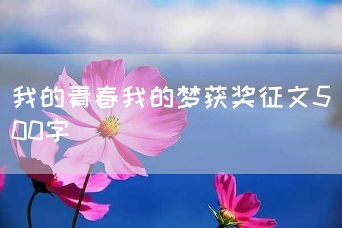 我的青春我的梦获奖征文500字