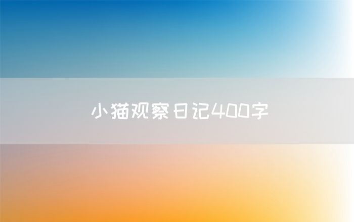 小猫观察日记400字