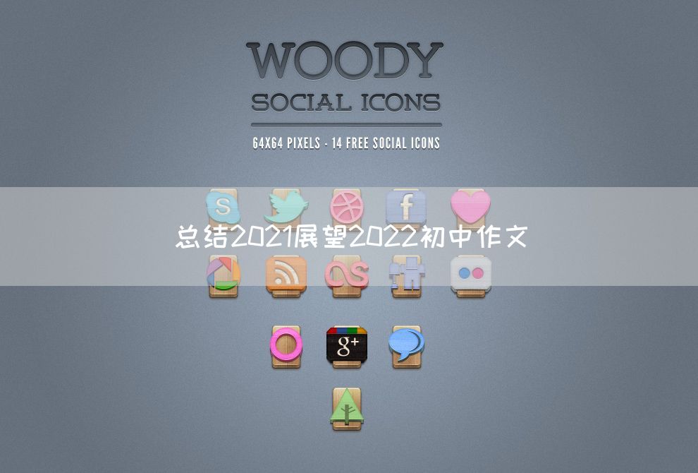 总结2021展望2022初中作文
