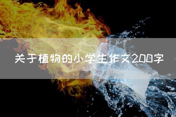 关于植物的小学生作文200字