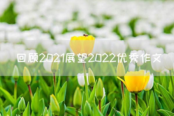 回顾2021展望2022优秀作文