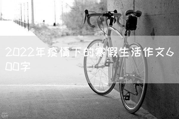 2022年疫情下的寒假生活作文600字