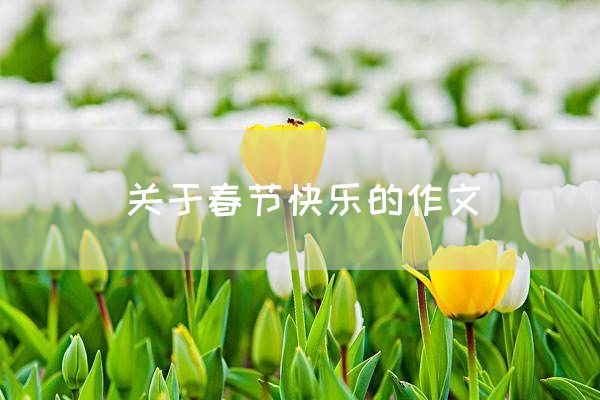 关于春节快乐的作文