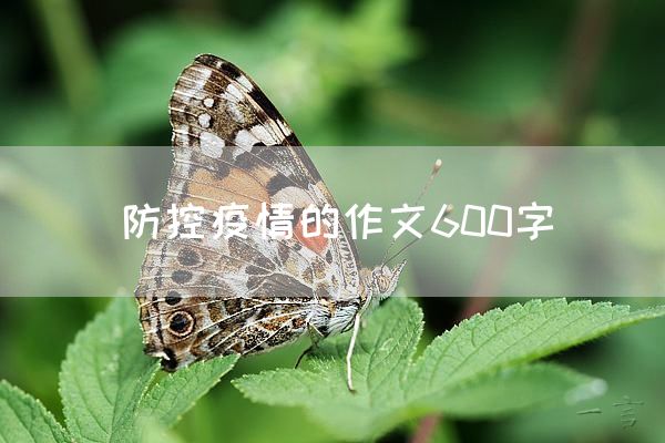 防控疫情的作文600字
