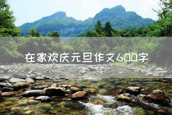 在家欢庆元旦作文600字