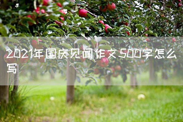 2021年国庆见闻作文500字怎么写