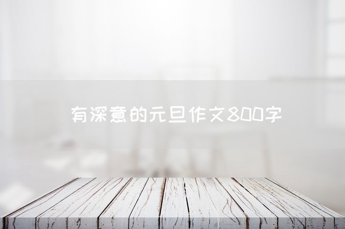 有深意的元旦作文800字