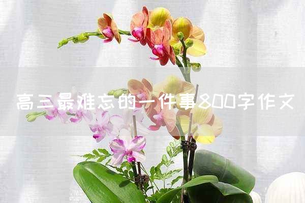 高三最难忘的一件事800字作文