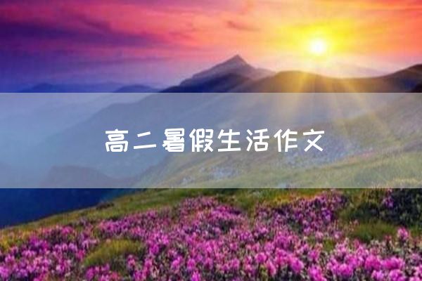 高二暑假生活作文