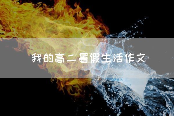 我的高二暑假生活作文