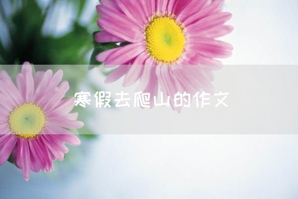寒假去爬山的作文