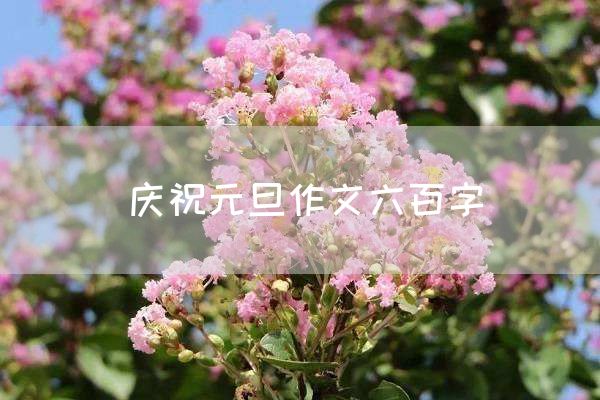 庆祝元旦作文六百字