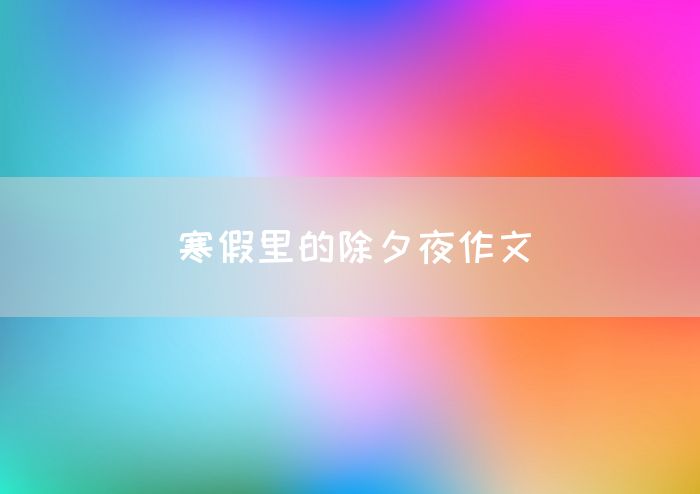 寒假里的除夕夜作文