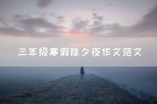 三年级寒假除夕夜作文范文