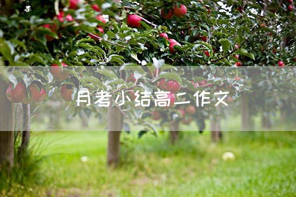 月考小结高二作文