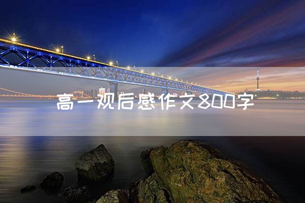 高一观后感作文800字