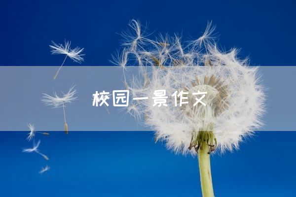 校园一景作文
