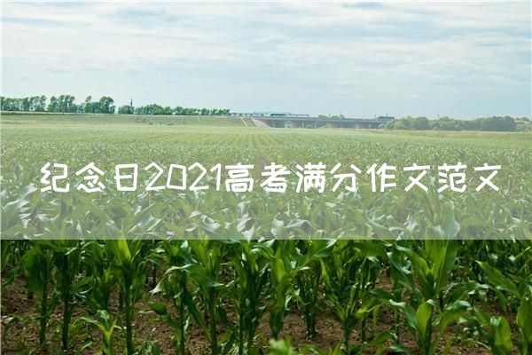 纪念日2021高考满分作文范文