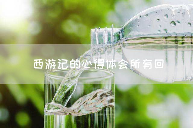 西游记的心得体会所有回