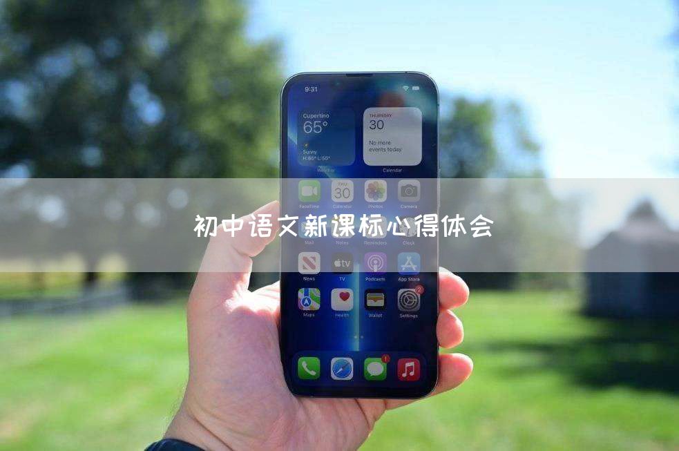 初中语文新课标心得体会