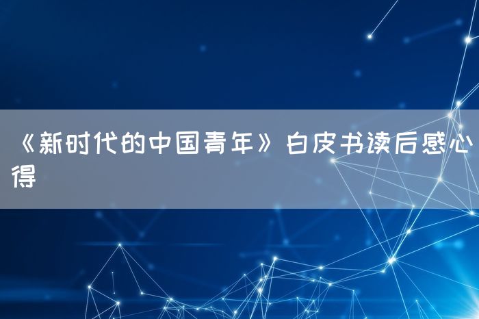 《新时代的中国青年》白皮书读后感心得