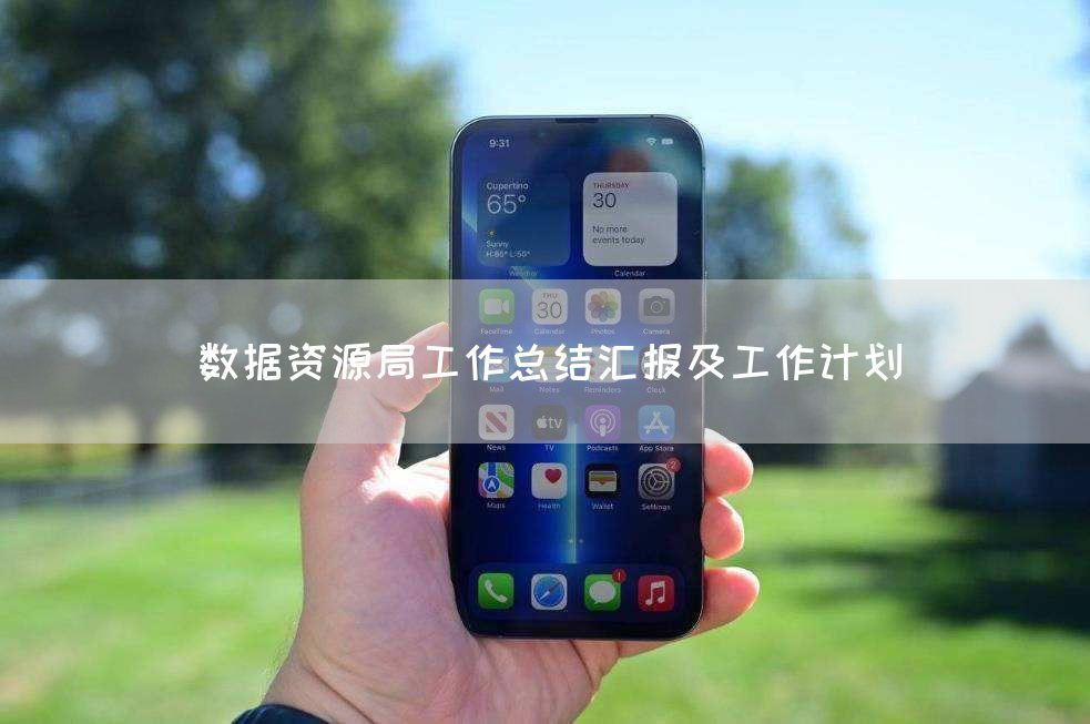 数据资源局工作总结汇报及工作计划