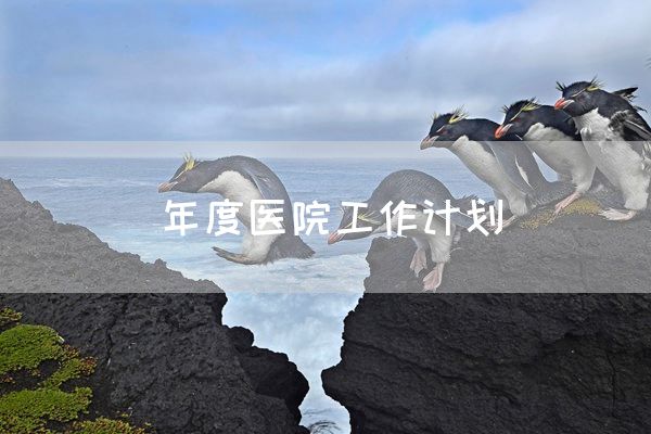 年度医院工作计划
