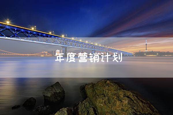 年度营销计划