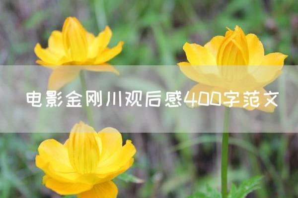 电影金刚川观后感400字范文