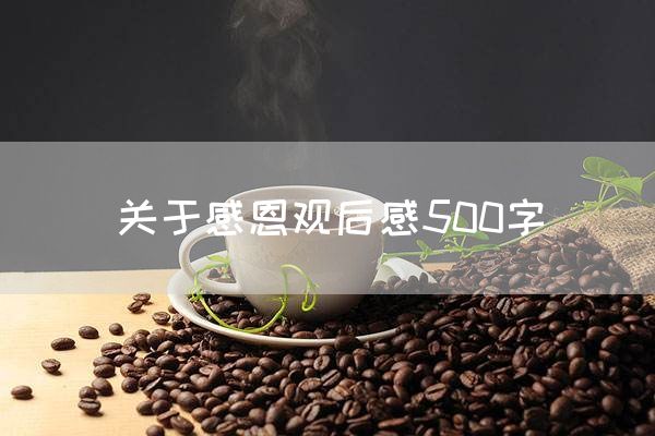 关于感恩观后感500字