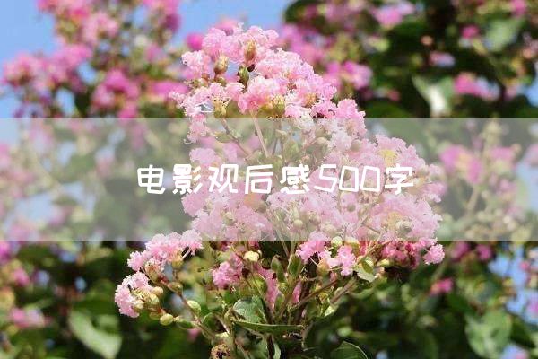 电影观后感500字
