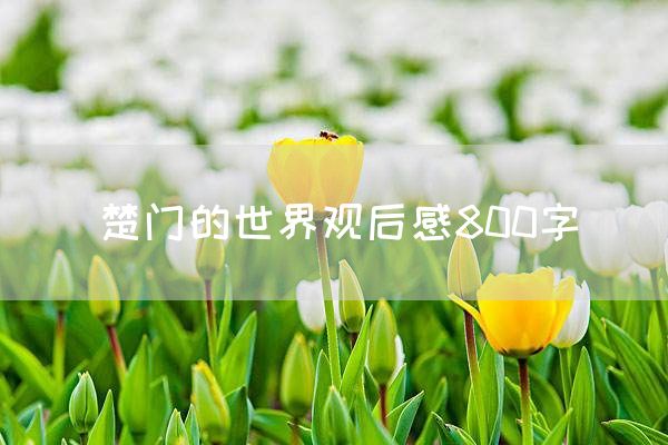 楚门的世界观后感800字