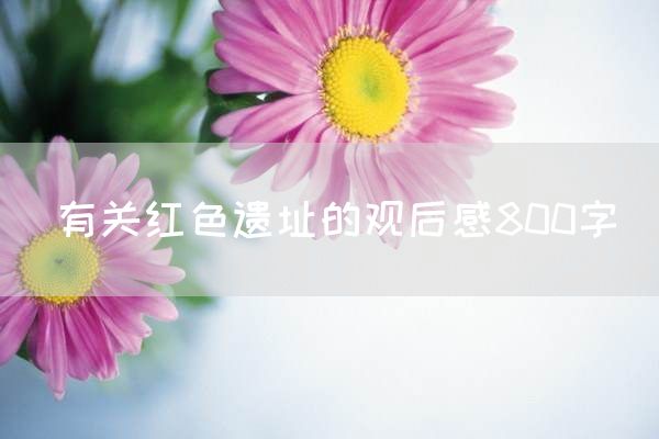 有关红色遗址的观后感800字