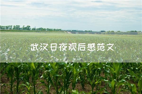武汉日夜观后感范文