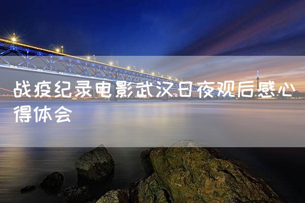 战疫纪录电影武汉日夜观后感心得体会
