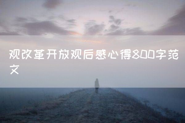 观改革开放观后感心得800字范文