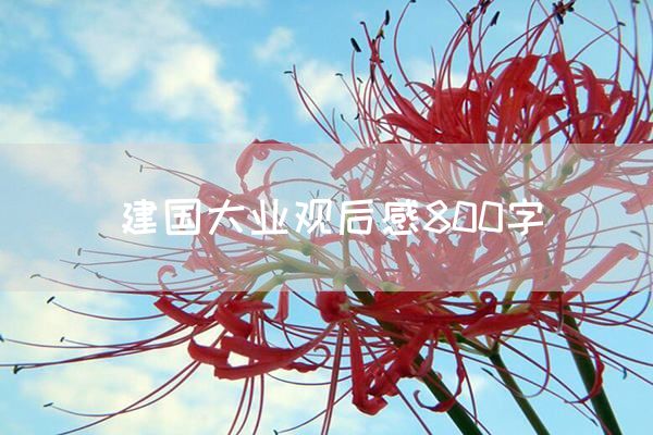 建国大业观后感800字