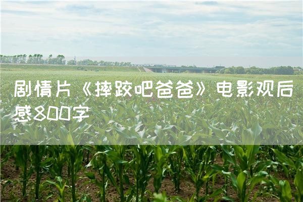 剧情片《摔跤吧爸爸》电影观后感800字