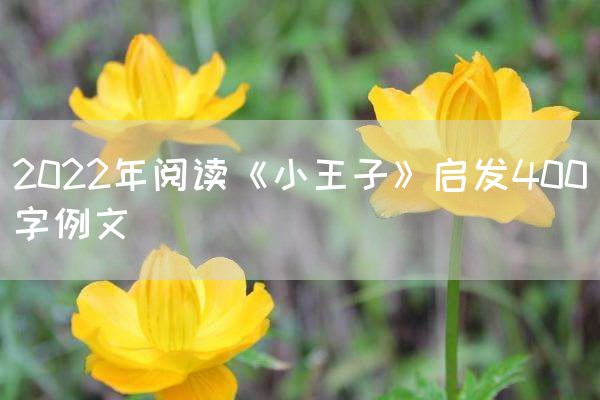 2022年阅读《小王子》启发400字例文