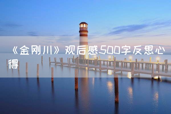 《金刚川》观后感500字反思心得