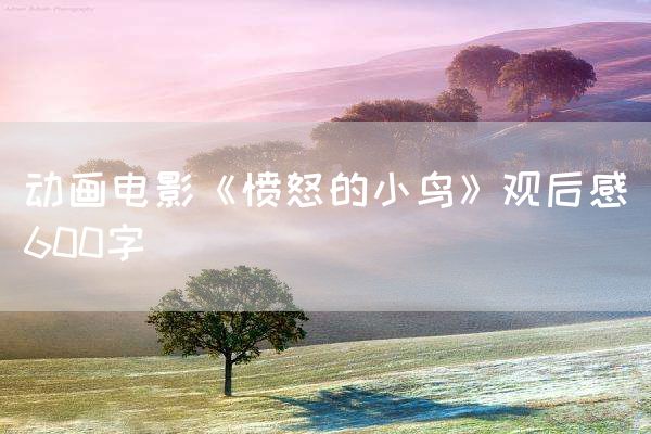 动画电影《愤怒的小鸟》观后感600字