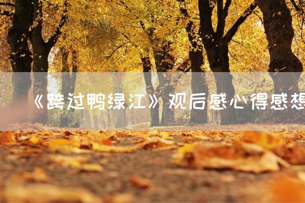 《跨过鸭绿江》观后感心得感想