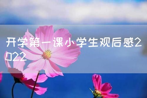 开学第一课小学生观后感2022