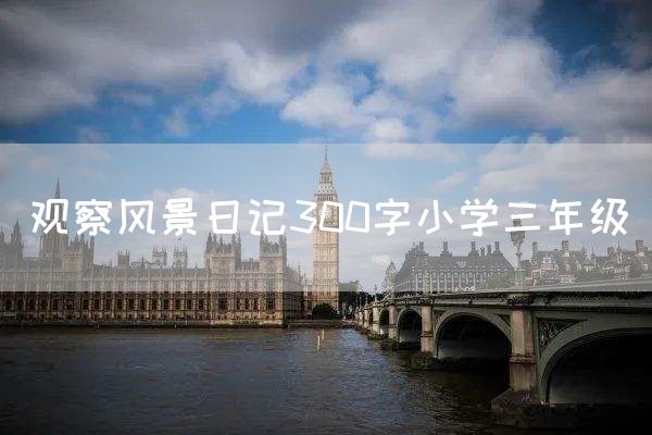 观察风景日记300字小学三年级