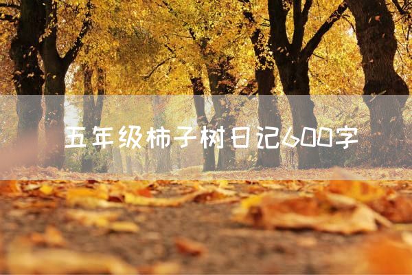 五年级柿子树日记600字