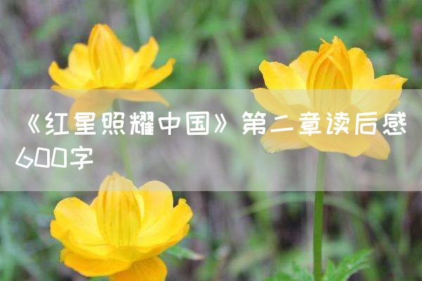 《红星照耀中国》第二章读后感600字
