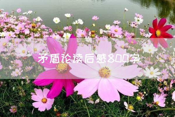 矛盾论读后感800字