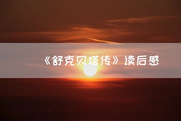《舒克贝塔传》读后感